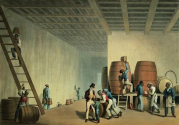 Interno della distilleria, Antigua