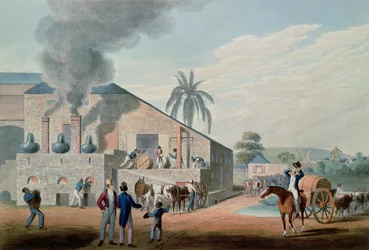 Schiavi al lavoro per la produzione di rum nella distilleria di Antigua
