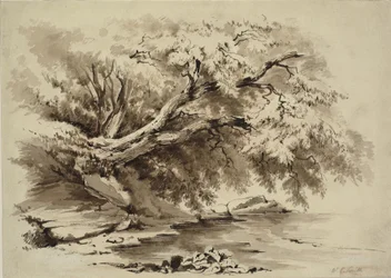 Paesaggio con alberi che sovrastano un lago