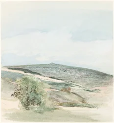 Brughiera nel Sussex