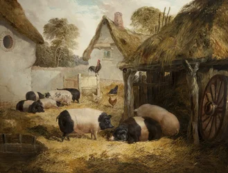 Ospitalità del Cottage