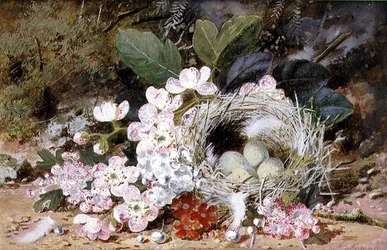 Natura morta con nido di uccelli e primule