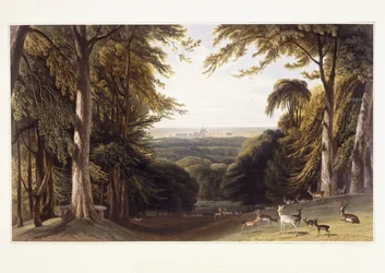 Castello di Windsor dal parco dei cervi, c.1827-1829