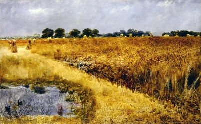 Un campo di grano
