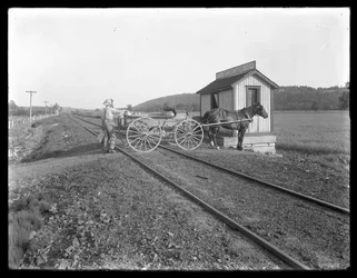 Uomo non identificato carica latte su un carro trainato da cavalli parcheggiato sui binari della ferrovia fuori dalla fattoria McCready, Pennsylvania, c.1913