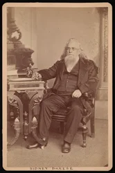 Ritratto di Sidney Breese 1800-1878, prima del 1878