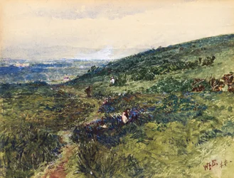 Scena costiera