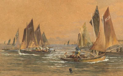 Barche da pesca