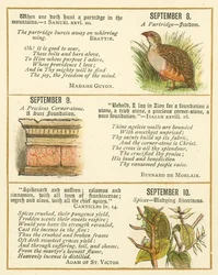 Pagina dal The Bible Emblem Anniversary Book