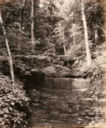 Lago di Owasco, Cascade Glen, per la Lehigh Valley Railroad