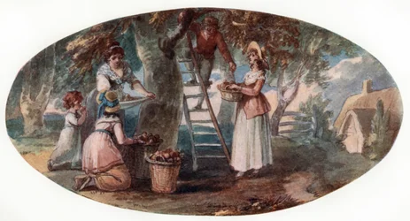 Raccolta di frutta