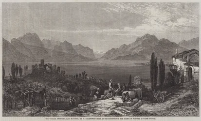La vendemmia, Desenzano, Lago di Garda