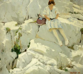Farfalla sulle rocce