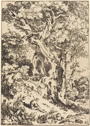 Studio di alberi e arbusti con figura seduta