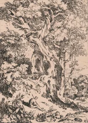 Studio di alberi e cespugli con figura maschile seduta