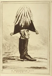 Uno stivale Wellington, o La testa dell