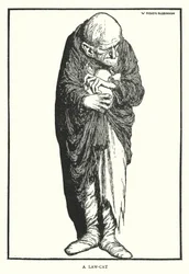 Un gatto della legge