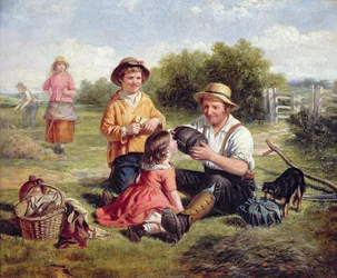 Campo di fieno