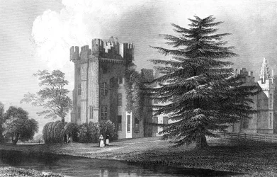 Faulkbourn Hall, vicino a Whitham, Essex, inciso da Henry Wallis, 1832