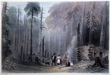 Prima installazione del colono - in "Canadian scenery illustrated" di W.H. Bartlett, Londra