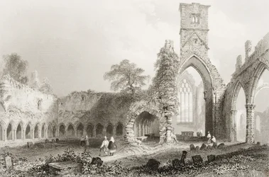 Abbazia di Sligo, Contea di Sligo, Irlanda, da 
