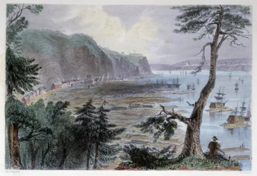 Deposito di legname vicino a Québec - in "Canadian scenery illustrated" di Bartlett W. H.