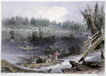 Trasporto del legno a "les Chats" - in "Canadian scenery illustrated" di Bartlett W. H.