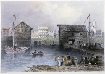 Veduta dei moli di Toronto - in "Scenari canadesi illustrati" di Bartlett W. H.