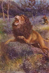 Illustrazione per The Gorilla Hunters di R M Ballantyne (litografia a colori)