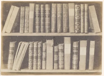 Una scena in una biblioteca, tavola VIII da The Pencil of Nature