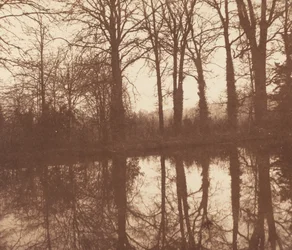Alberi Invernali Riflessi in uno Stagno