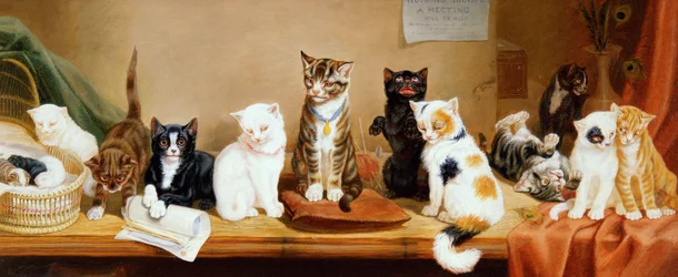 Diritti delle donne - Una riunione, 1885