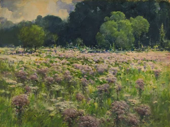 Campo di erbacce di Joe Pie (Orgoglio del prato)
