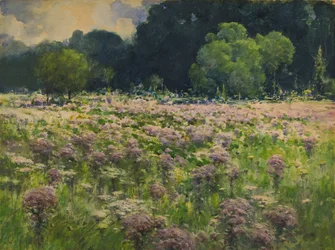 Campo di erbacce di Joe Pie Orgoglio del prato, n.d.