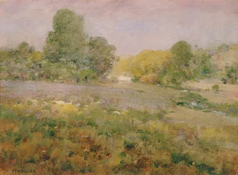 Campo di erbe variegate alla fine dell