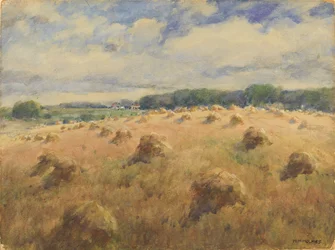 Campi di grano del Maryland