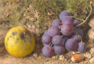 Mela, uva e una nocciola