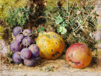 Uva Nera, Cotogna e Newtown Pippin, 1861