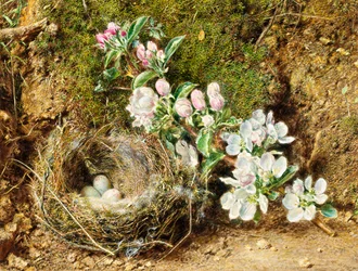 Ramo di fiori di melo e nido d