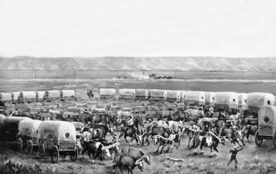 Buoi che vengono aggiogati in un recinto di carri coperti in un dipinto di W. H. Jackson, Scotts Bluff, Nebraska