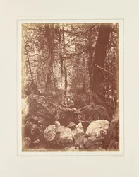 Il sentiero nel bosco, Gallatin Cañon