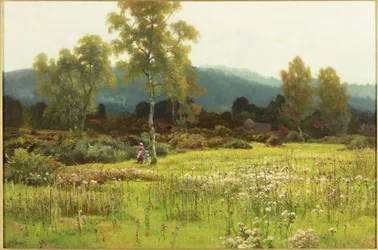 Verso casa