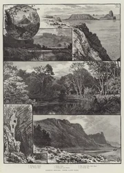 Schizzi Vagabondi, Gower, Galles del Sud
