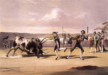 Le Banderillas