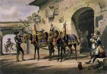 I muli della Plaza de Toros