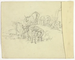 Bovini (recto); Il ciarlatano (verso)