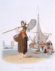 Pescatrice di gamberetti, da 