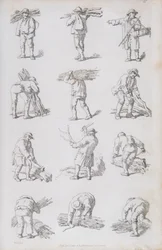 Illustrazione da 