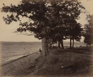 Lago Cayuga, Sheldrake, c. 1895 (foto)