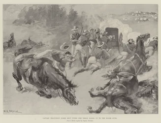 Il cavallo del capitano Thatcher colpito mentre cavalcava verso le mitragliatrici Maxim